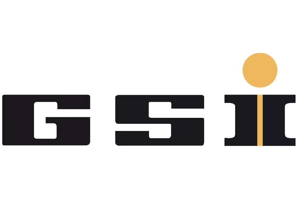 GSI_logo_web