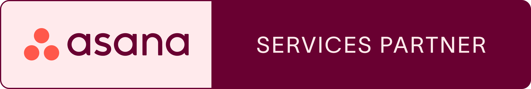 Asana Services Partner Award